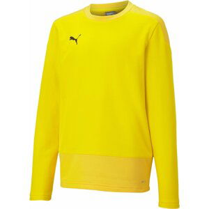 Mikina Puma teamGOAL 23 Training Sweat Jr