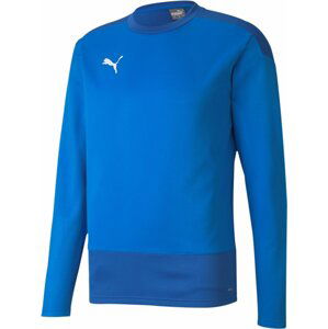 Mikina Puma teamGOAL 23 Training Sweat Jr