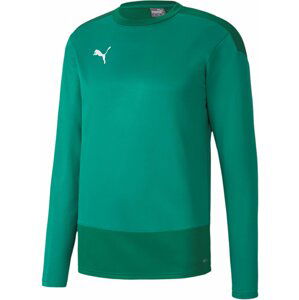 Mikina Puma teamGOAL 23 Training Sweat Jr