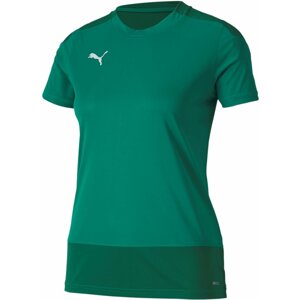 Dres Puma teamGOAL 23 Training W