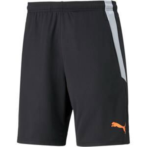 Šortky Puma teamLIGA Training Shorts 2