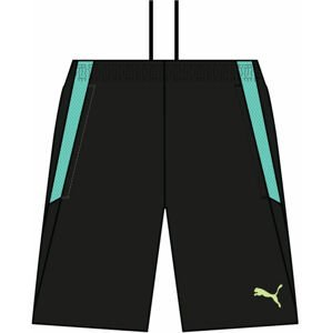 Šortky Puma teamLIGA Training Shorts 2 Jr (open pockets)