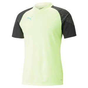 Dres Puma individualCUP Training Jersey