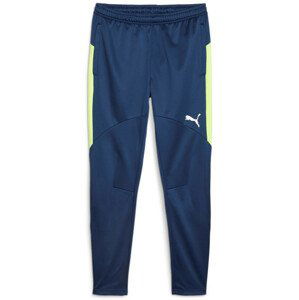 Kalhoty Puma Individual Winterized Men's Football Pants