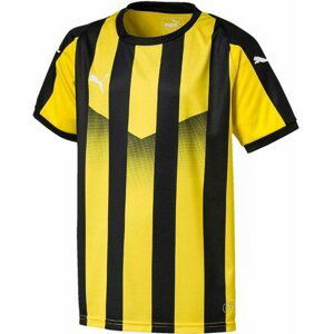 Dres Puma liga striped kids