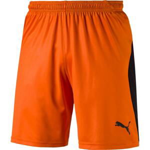 Šortky Puma LIGA Core shorts