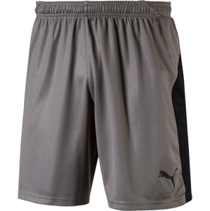 Šortky Puma LIGA Core shorts