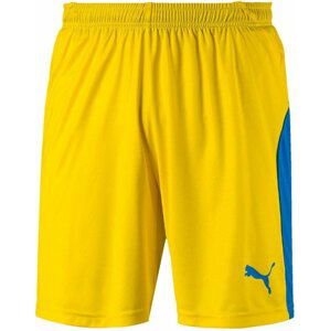 Šortky Puma LIGA Core shorts