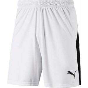 Šortky Puma LIGA Core short