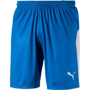 Šortky Puma LIGA Core shorts