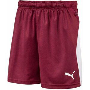 Šortky Puma LIGA Shorts Jr