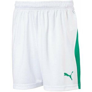 Šortky Puma LIGA Shorts Jr