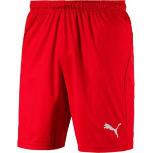 Šortky Puma LIGA Core short