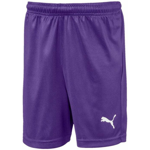 Šortky Puma Liga Shorts