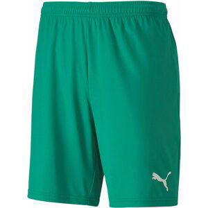 Šortky Puma teamGOAL 23 knit Shorts