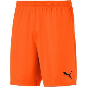 Šortky Puma teamGOAL 23 knit Shorts