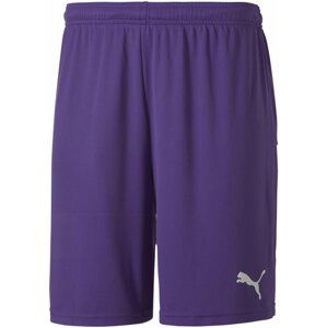 Šortky Puma teamGOAL 23 knit Shorts