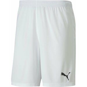 Šortky Puma teamGOAL 23 knit Shorts jr