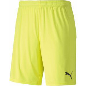 Šortky Puma teamGOAL 23 knit Shorts jr