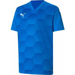 Dres Puma teamFINAL 21 Graphic Jersey Jr