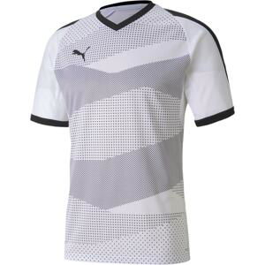 Dres Puma teamFINAL Indoor Jersey