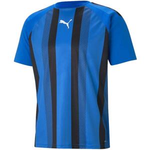 Dres Puma teamLIGA Striped Jersey