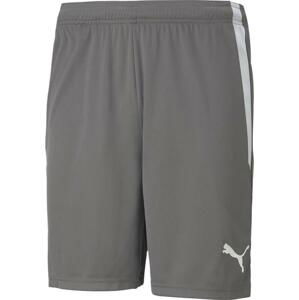 Šortky Puma teamLIGA Shorts