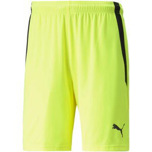 Šortky Puma teamLIGA Shorts