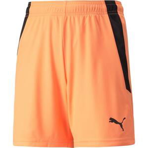 Šortky Puma teamLIGA Shorts Jr