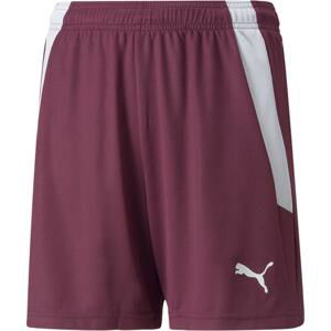 Šortky Puma teamLIGA Shorts Jr