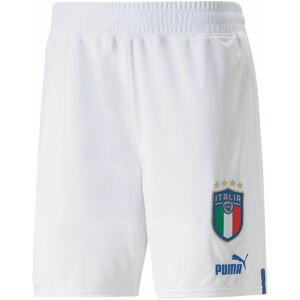 Šortky Puma FIGC Shorts Replica 2022/23