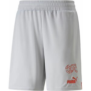 Šortky Puma SFV Shorts Replica 2022/23