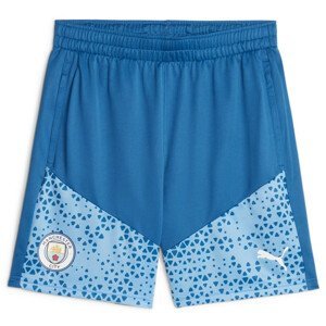 Šortky Puma Manchester City Football Training Shorts