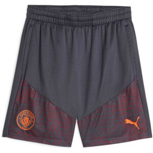 Šortky Puma Manchester City Football Training Shorts