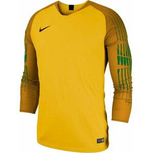 Dres s dlouhým rukávem Nike YTH NK GARDIEN II GK JSY LS