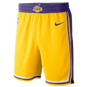Šortky Nike Los Angeles Lakers Icon Edition Men s  NBA Swingman Shorts