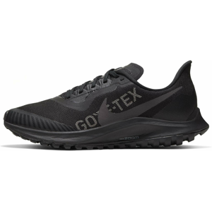 Trailové boty Nike W ZOOM PEGASUS 36 TRAIL GTX