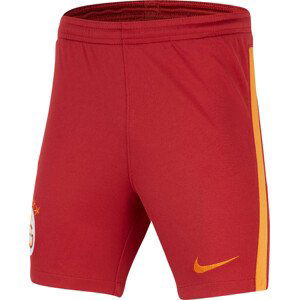 Šortky Nike Y NK GALATASARAY STADIUM DRY SHORT 2020/21