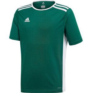 Dres adidas ENTRADA 18 JSY Y