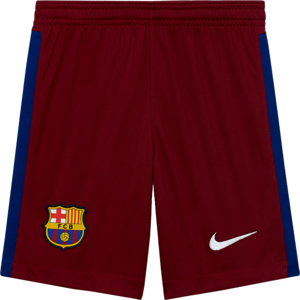 Šortky Nike M NK FCB GK DRY SHORT 2020/21