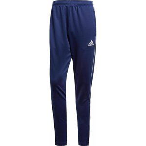 Kalhoty adidas CORE18 TR PNT