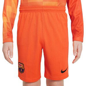 Šortky Nike FCB YNK DF STADIUM SHORT GK 2021/22