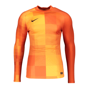 Dres s dlouhým rukávem Nike  Park t