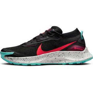 Trailové boty Nike Pegasus Trail 3 GTX