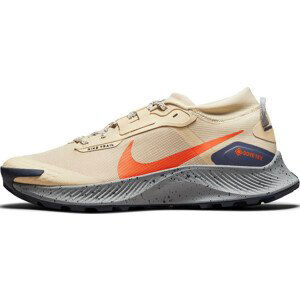 Trailové boty Nike Pegasus Trail 3 GTX