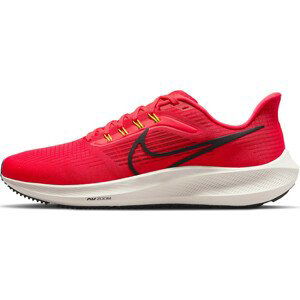 Běžecké boty Nike Air Zoom Pegasus 39