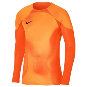 Dres Nike  Gardien IV