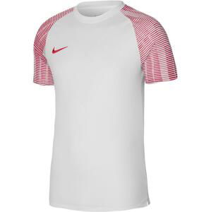 Dres Nike  Dri-FIT Academy