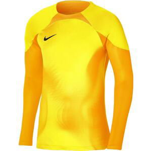 Dres s dlouhým rukávem Nike  Dri-FIT ADV Gardien 4 Goalkeeper LS Kids