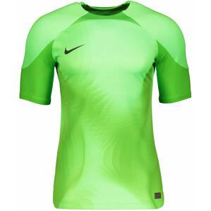 Dres Nike  Foundation Goalkeeper Jersey SS